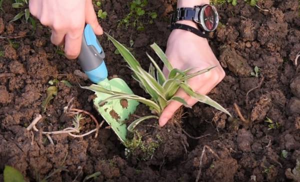 multi-interchange kid tools set(1).jpg multi-interchange kid tools set(1).jpg