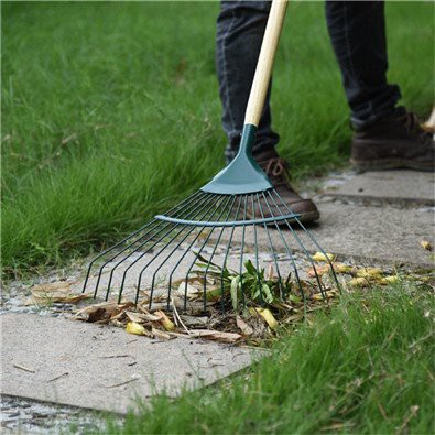 product-395-395 16 tooth Steel Tine Leaf Rake scene