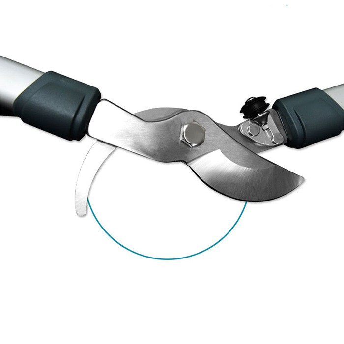 lopping pruning shears