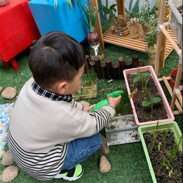 Cara menumbuhkan kesenangan berkebun anak-anak
