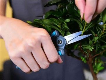 Mengapa kami meluncurkan gunting baru dan lebih besar