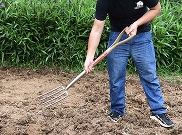 Pengantar Singkat Budaya Taman Rusia