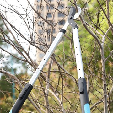 Pemangkasan dan Pemangkasan: Merawat My Family Garde