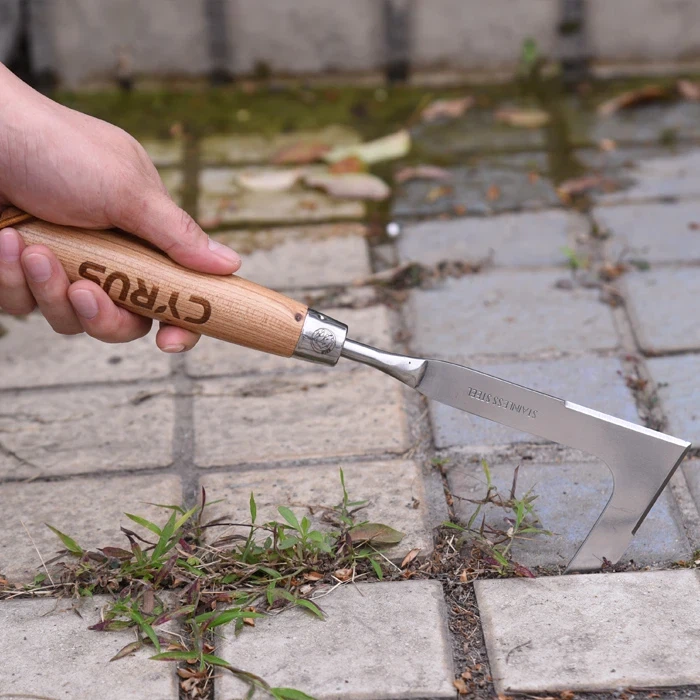 Penyiangan Kebun Menjadi Mudah dengan Penyiangan Tangan Stainless