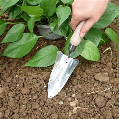 Buku Harian Penanaman Kebun -1