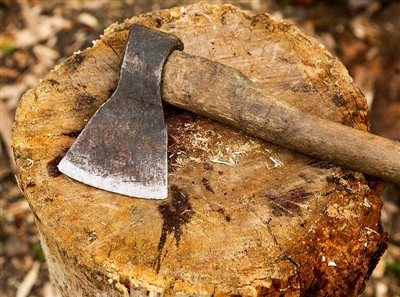 Alat Pemotong Pohon dan Perlengkapan Keselamatan