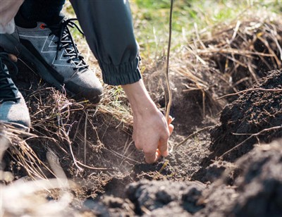 Langkah-Langkah Menyenangkan untuk Menggali Akar