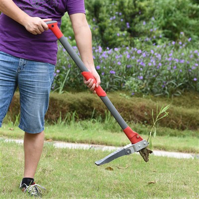 Berdiri Weeder untuk penyiangan yang mudah