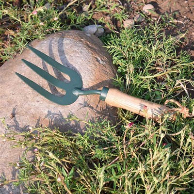 Petualangan Sehari-hari Peralatan Berkebun