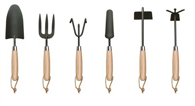 Menanam tomat di rumah