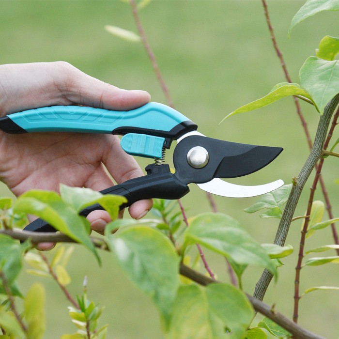 Pruner Scissors