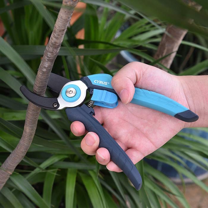 Shears in Hand Cutting a Branch