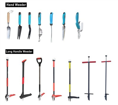 Budidaya Hijau: Merangkul Keberlanjutan di Taman Anda