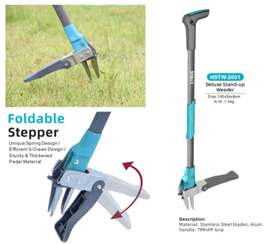 Merayakan Festival Pertengahan Musim Gugur di Seluruh Dunia: Harmoni Tradisi ...